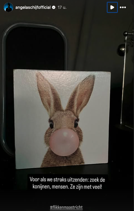 Konijnen in Flikken Maastricht